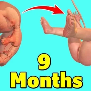 9 Months gameplay