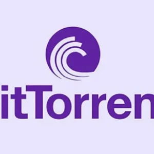BitTorrent Pro interface