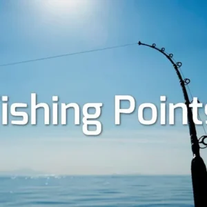 Fishing Points Overview