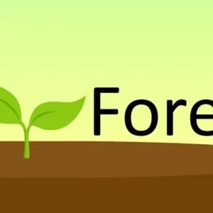 Forest app interface with a growing tree.