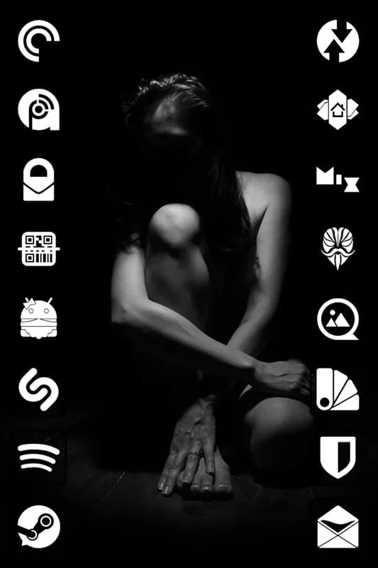 Raya Black Icon Pack Themes